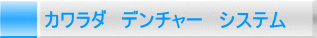 カワラダ デンチャー システム